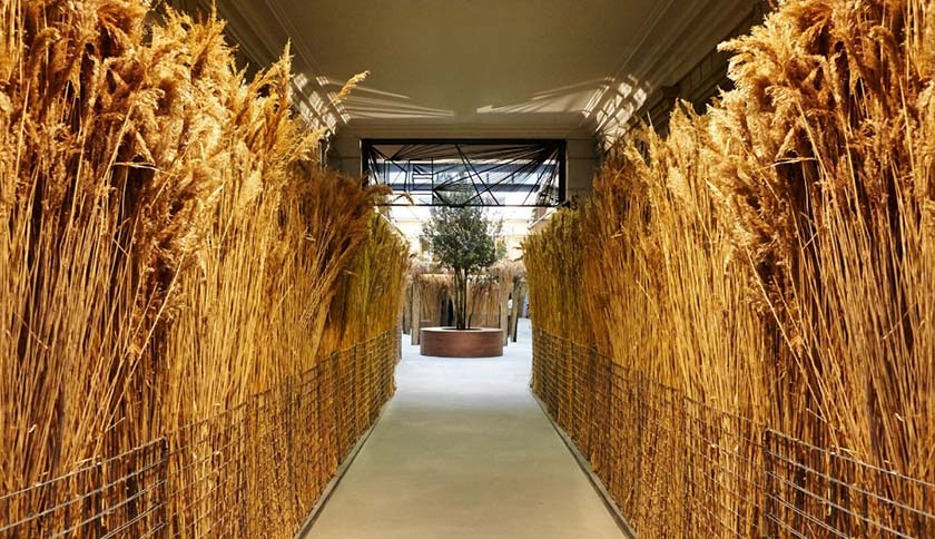 農(nóng)業(yè)展廳設計布局展示